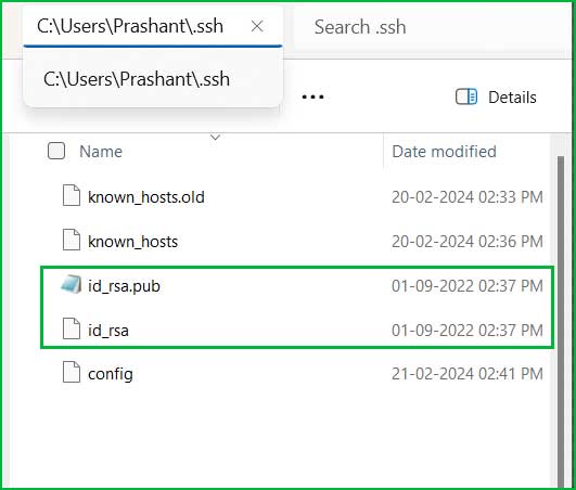 Save Public/Private key to .ssh folder